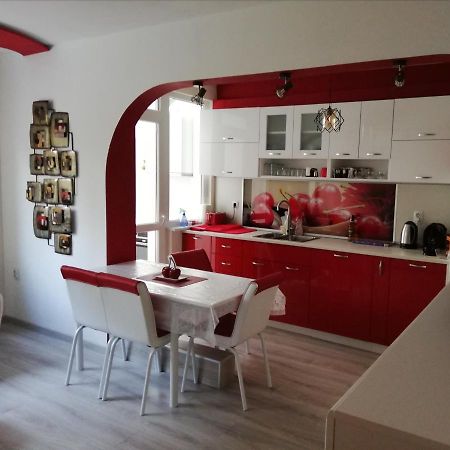 Apartment Ani Wielkie Tyrnowo Zewnętrze zdjęcie