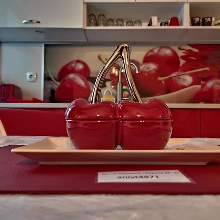 Apartment Ani Wielkie Tyrnowo Zewnętrze zdjęcie