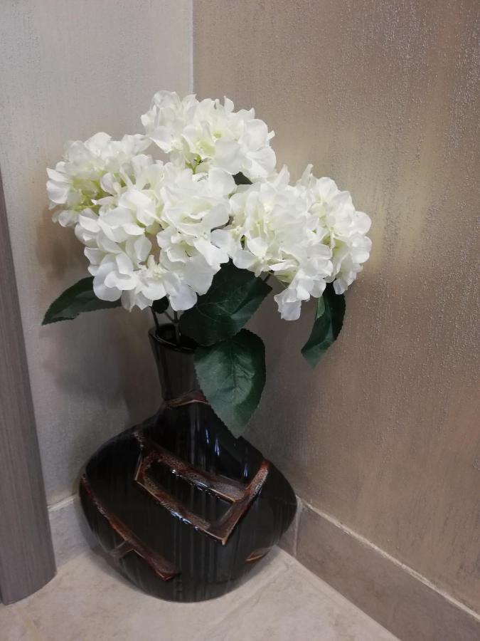 Apartment Ani Wielkie Tyrnowo Zewnętrze zdjęcie