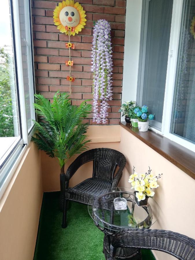 Apartment Ani Wielkie Tyrnowo Zewnętrze zdjęcie